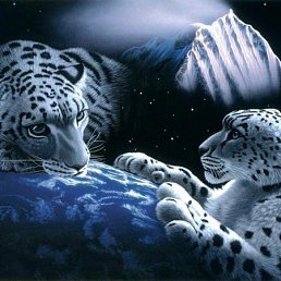 Оля, Санкт-Петербург