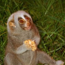 Nikolay, Санкт-Петербург