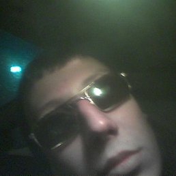 Лис, Санкт-Петербург