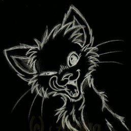 Паа, Санкт-Петербург