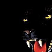 Таня, Санкт-Петербург