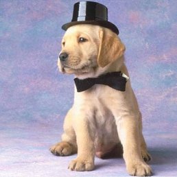 Андрей, Киев