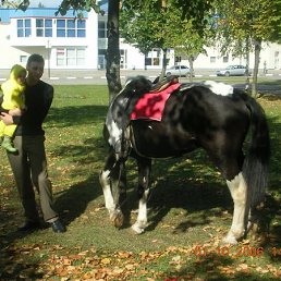 Ренат, Красноярск