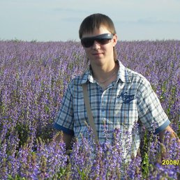 Саша, Павлово