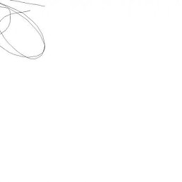 Юльчик, Воронеж