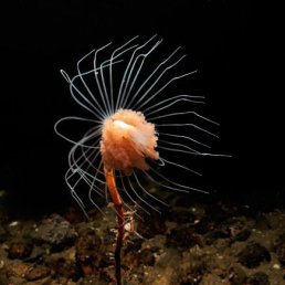 Сергей, Москва