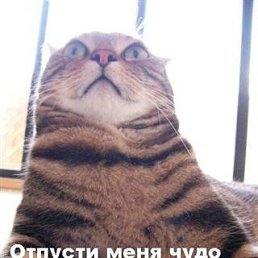 Мариям, Алматы