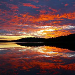 Андрей, Москва