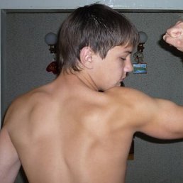 Димон, Новые Санжары