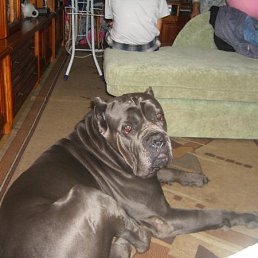 Серега, Москва