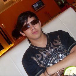 Волк, Обнинск