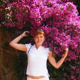 Стрекоза, Москва