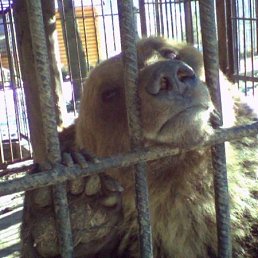 Андрей, Москва