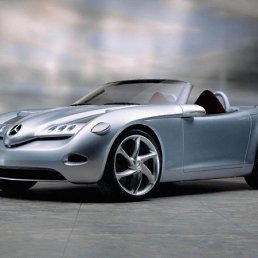 Саша, Москва