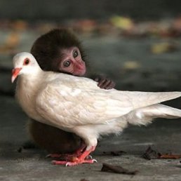 Алексей, Москва