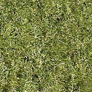 Сергей, Санкт-Петербург